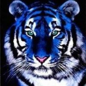 Meet your Posher, Lydia